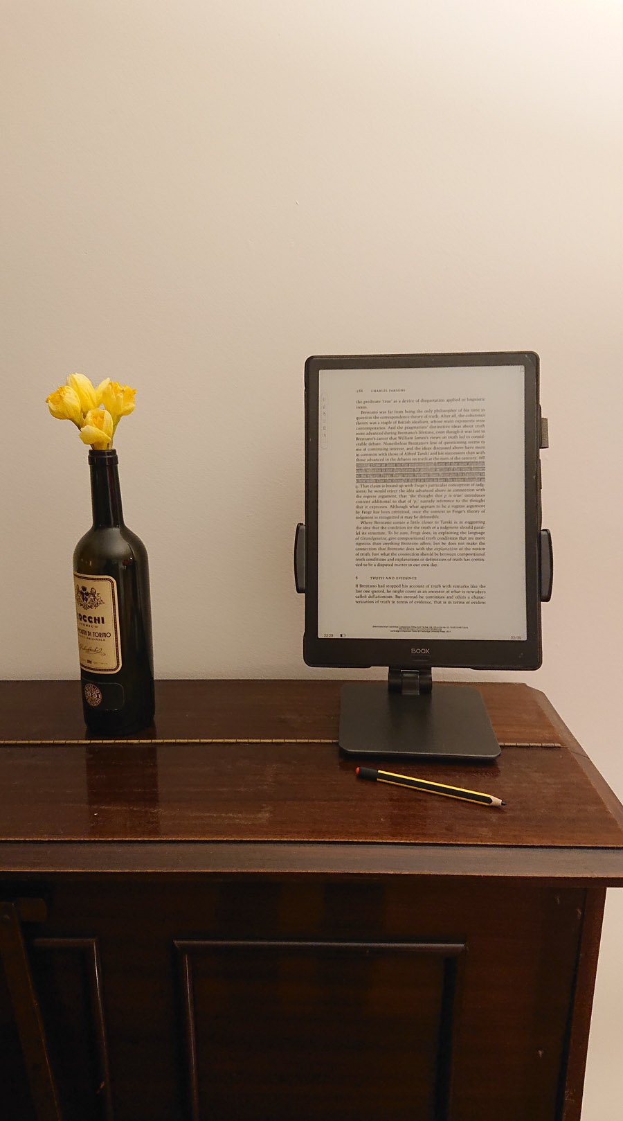 Boox Max 3 in a tablet stand